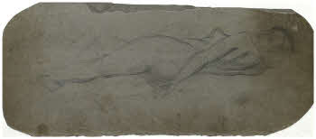 Visualizza l'immagine "FD D 595"